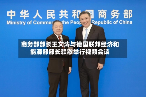 商务部部长王文涛与德国联邦经济和能源部部长赖歇举行视频会谈