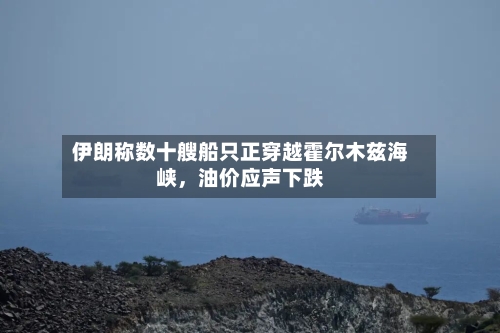 伊朗称数十艘船只正穿越霍尔木兹海峡，油价应声下跌