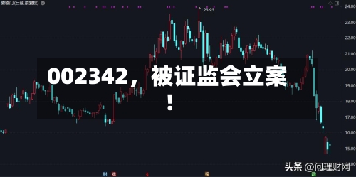 002342,被证监会立案!