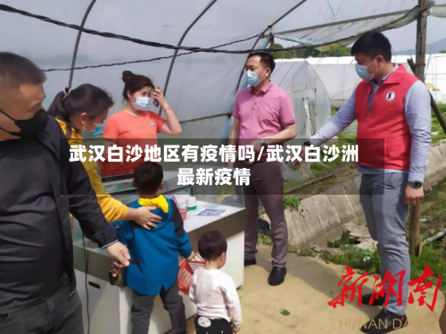 武汉白沙地区有疫情吗/武汉白沙洲最新疫情