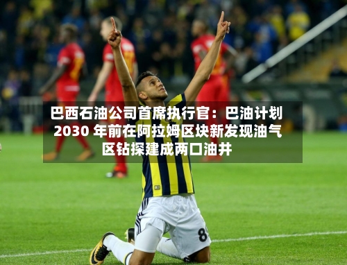 巴西石油公司首席执行官：巴油计划 2030 年前在阿拉姆区块新发现油气区钻探建成两口油井