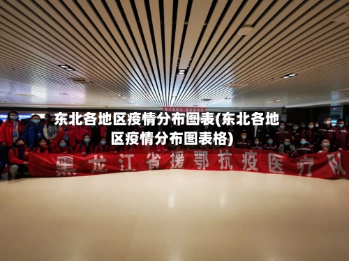 东北各地区疫情分布图表(东北各地区疫情分布图表格)
