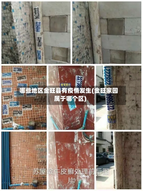 哪些地区金旺县有疫情发生(金旺家园属于哪个区)