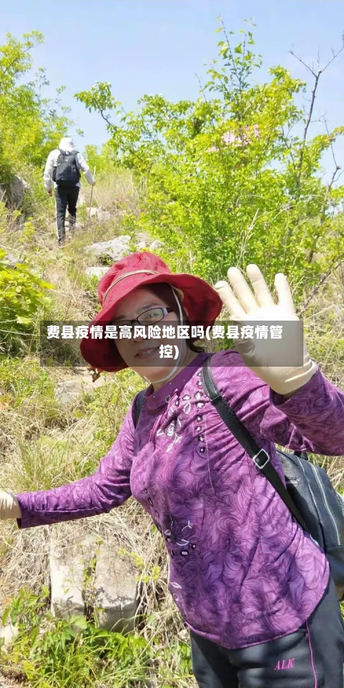 费县疫情是高风险地区吗(费县疫情管控)