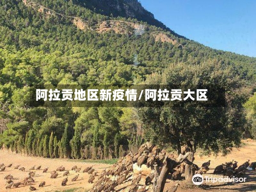 阿拉贡地区新疫情/阿拉贡大区