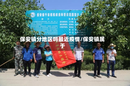保安镇分地区吗最近疫情/保安镇属于