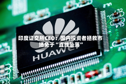 印度证交所CEO:国内投资者拯救市场免于“直线坠落”