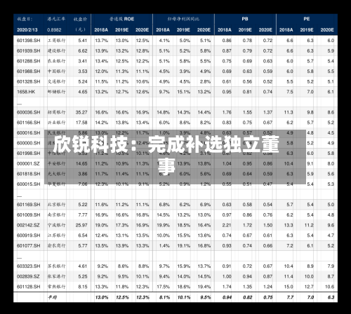 欣锐科技:完成补选独立董事