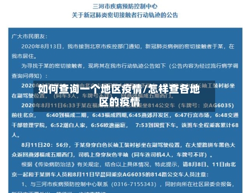 如何查询一个地区疫情/怎样查各地区的疫情