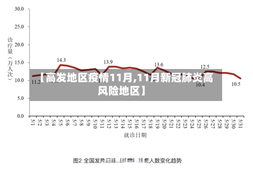 【高发地区疫情11月,11月新冠肺炎高风险地区】