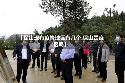 【保山现有疫情地区有几个,保山是疫区吗】