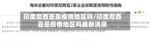 印度尼西亚是疫情地区吗/印度尼西亚是疫情地区吗最新消息
