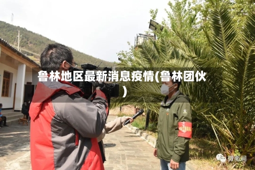 鲁林地区最新消息疫情(鲁林团伙)