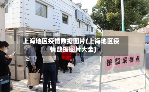 上海地区疫情数据图片(上海地区疫情数据图片大全)