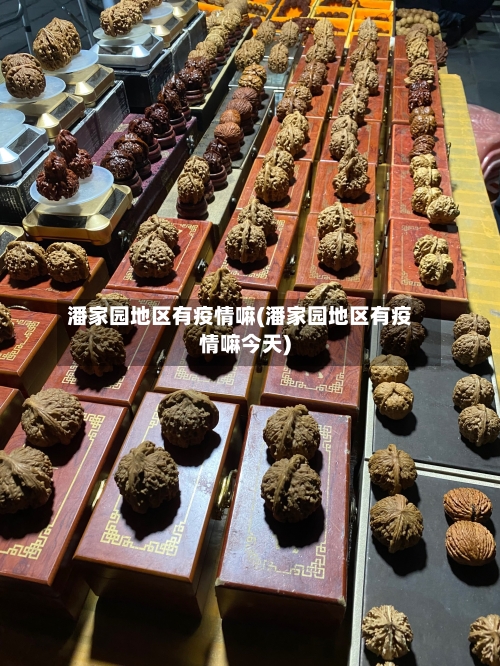 潘家园地区有疫情嘛(潘家园地区有疫情嘛今天)