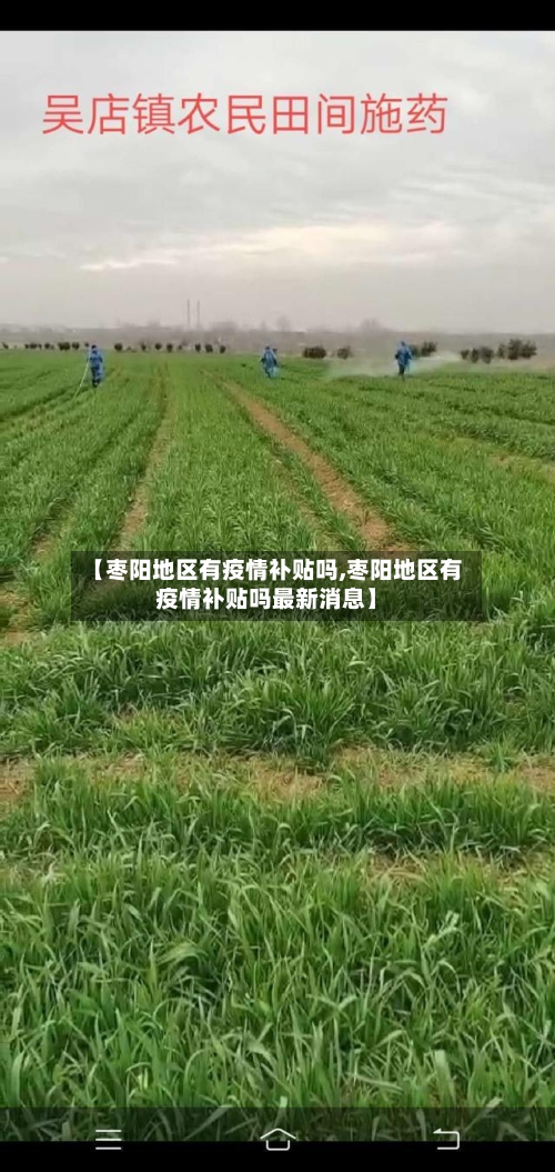 【枣阳地区有疫情补贴吗,枣阳地区有疫情补贴吗最新消息】