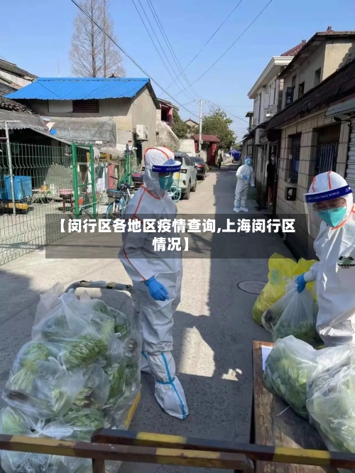 【闵行区各地区疫情查询,上海闵行区情况】