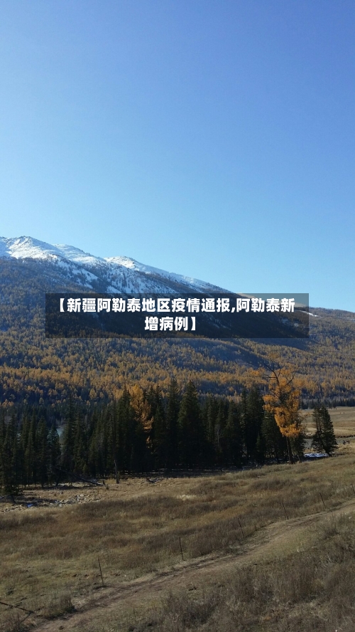 【新疆阿勒泰地区疫情通报,阿勒泰新增病例】