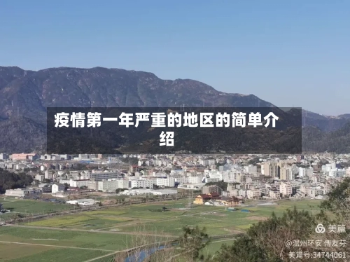 疫情第一年严重的地区的简单介绍