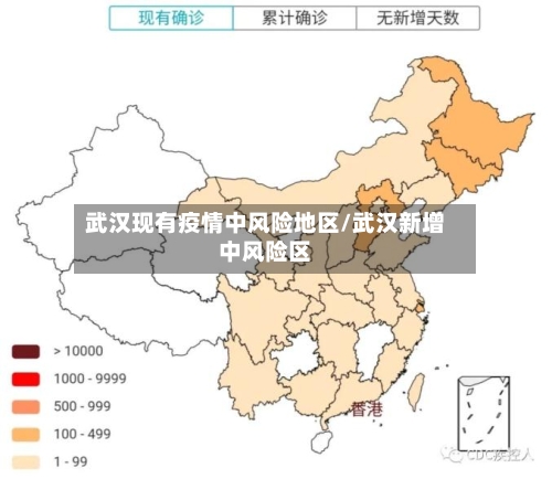 武汉现有疫情中风险地区/武汉新增中风险区
