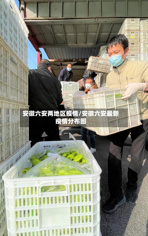 安徽六安两地区疫情/安徽六安最新疫情分布图