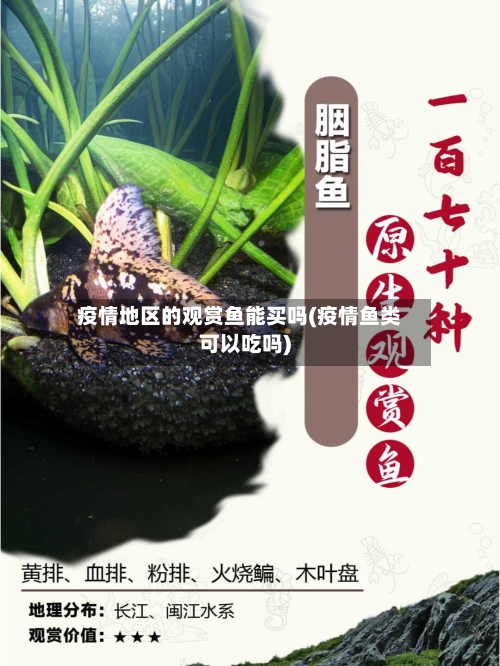 疫情地区的观赏鱼能买吗(疫情鱼类可以吃吗)