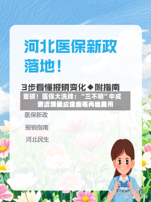 重磅!医保大洗牌:“三不明”中成药遭清退,谈判不再唯费用
论,创新成企业唯一出路