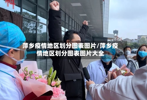 萍乡疫情地区划分图表图片/萍乡疫情地区划分图表图片大全