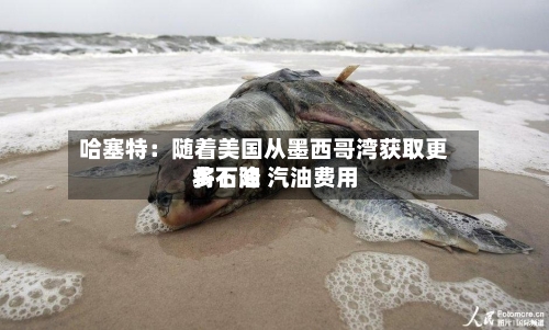 哈塞特:随着美国从墨西哥湾获取更多石油 汽油费用
将下降