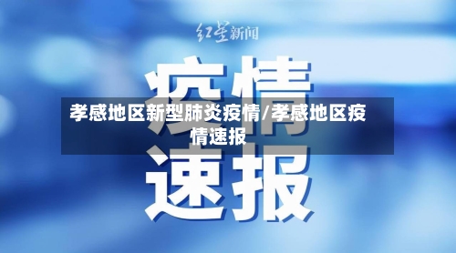 孝感地区新型肺炎疫情/孝感地区疫情速报