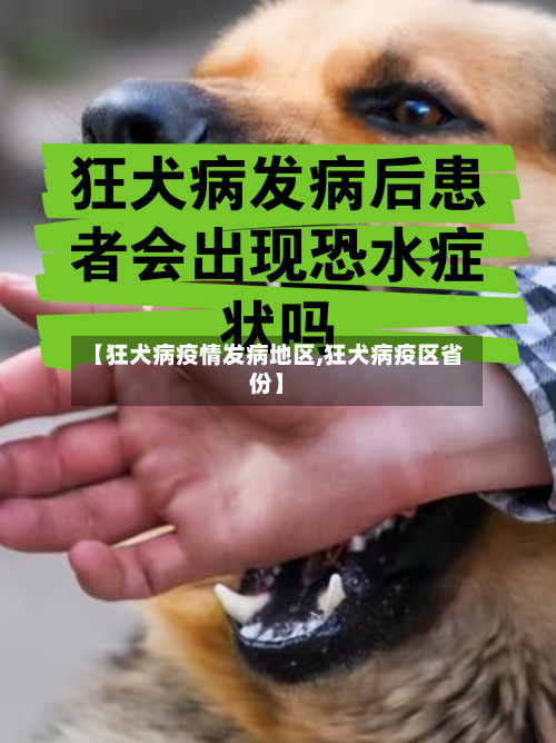 【狂犬病疫情发病地区,狂犬病疫区省份】