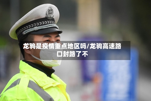 龙驹是疫情重点地区吗/龙驹高速路口封路了不