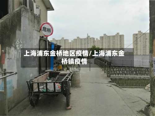 上海浦东金桥地区疫情/上海浦东金桥镇疫情