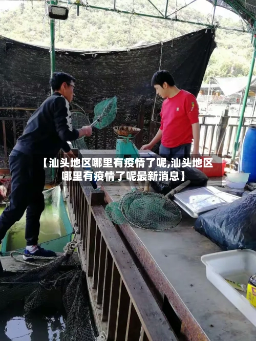 【汕头地区哪里有疫情了呢,汕头地区哪里有疫情了呢最新消息】