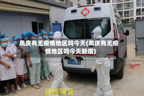 凤庆有无疫情地区吗今天(凤庆有无疫情地区吗今天新增)