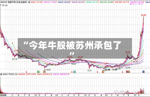 “今年牛股被苏州承包了”