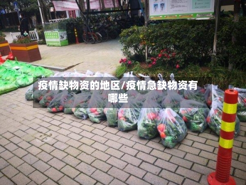 疫情缺物资的地区/疫情急缺物资有哪些