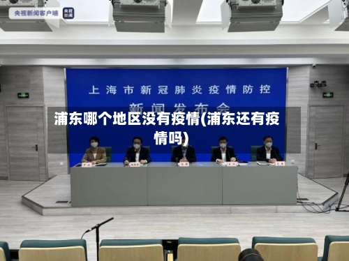 浦东哪个地区没有疫情(浦东还有疫情吗)