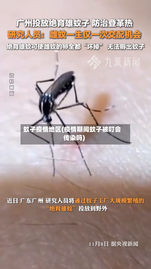 蚊子疫情地区(疫情期间蚊子被叮会传染吗)