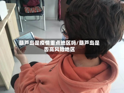 葫芦岛是疫情重点地区吗/葫芦岛是否高风险地区