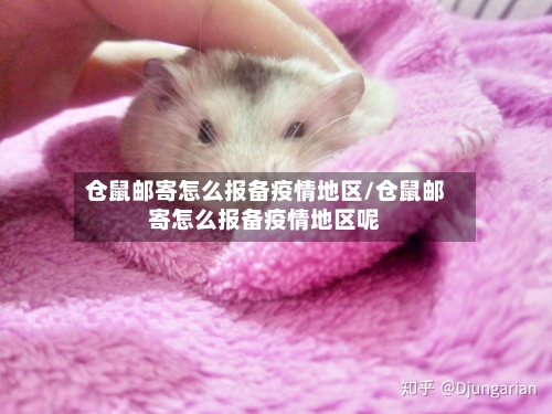 仓鼠邮寄怎么报备疫情地区/仓鼠邮寄怎么报备疫情地区呢
