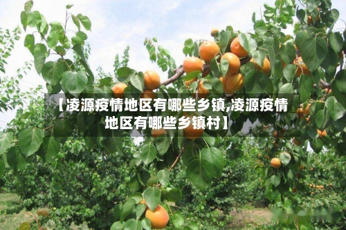 【凌源疫情地区有哪些乡镇,凌源疫情地区有哪些乡镇村】