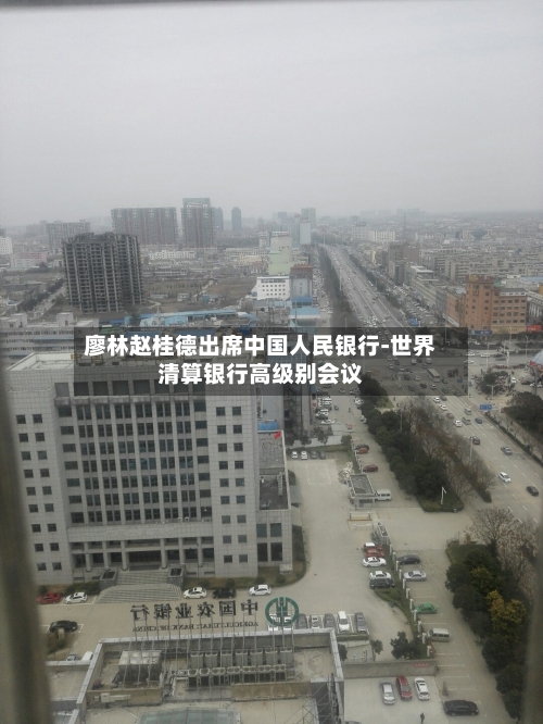 廖林赵桂德出席中国人民银行-世界
清算银行高级别会议