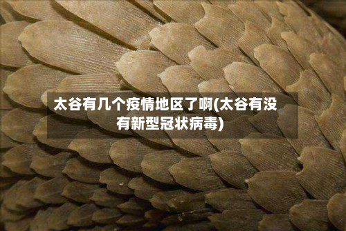 太谷有几个疫情地区了啊(太谷有没有新型冠状病毒)