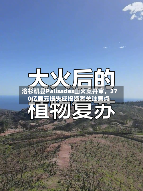 洛杉矶县Palisades山火案开审，370亿美元损失成投资者关注焦点