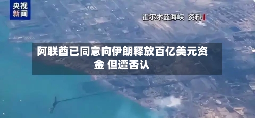 阿联酋已同意向伊朗释放百亿美元资金 但遭否认