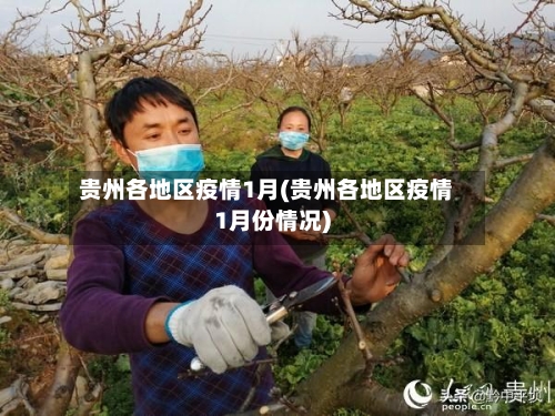 贵州各地区疫情1月(贵州各地区疫情1月份情况)