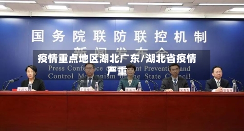 疫情重点地区湖北广东/湖北省疫情严重