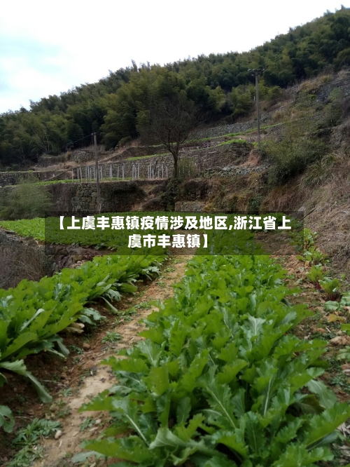 【上虞丰惠镇疫情涉及地区,浙江省上虞市丰惠镇】
