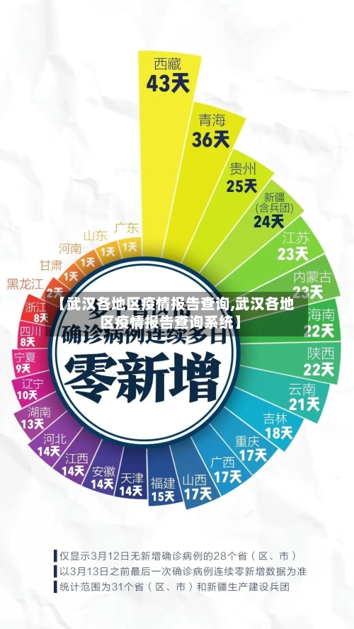 【武汉各地区疫情报告查询,武汉各地区疫情报告查询系统】